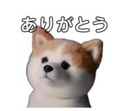 859299443