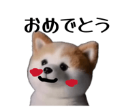 859299444