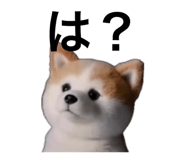 859299446