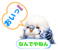 859299659