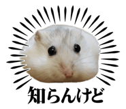 859299700