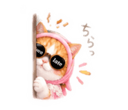 859300089