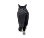859301422