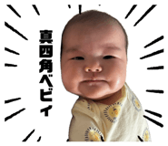 859302256