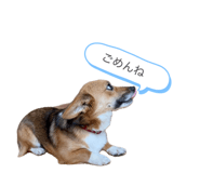859302569