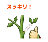 859302717