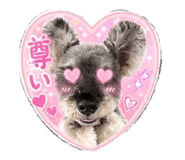 859303031