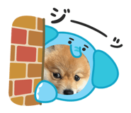 859303042