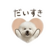 859303092