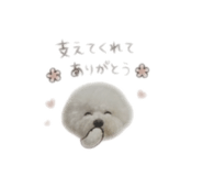 859303104