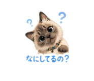 859303116
