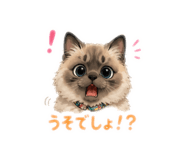 859303120