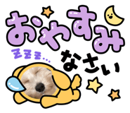 859303225