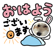 859303226