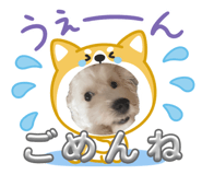 859303232