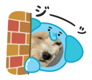 859303239