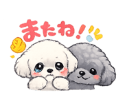 859303416