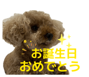 859303498