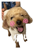 859303501