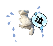 859303750