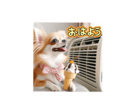 859303943