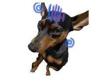 859304089