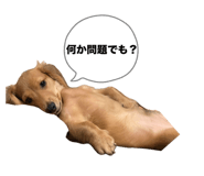 859304377
