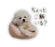 859304406