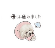 859304414