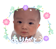 859305024