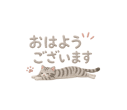 859305265