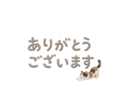 859305270