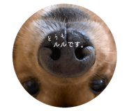 859305820