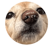 859305821
