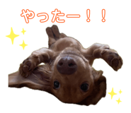 859305822