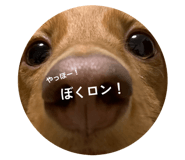 859305823