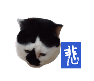 859305827