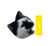 859305829