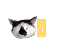 859305830