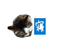 859305834