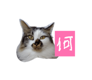 859305835