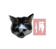 859305839