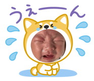 859306243