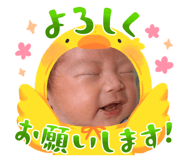 859306245