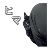 859307485
