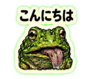 859308897