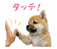 859309813