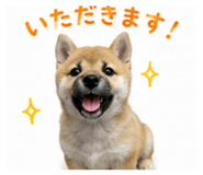 859309816