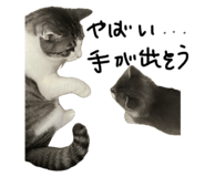 859309882