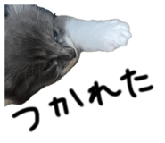 859309892